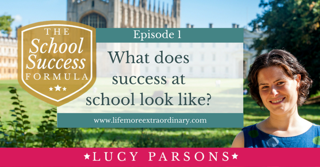 What does success at school look like-