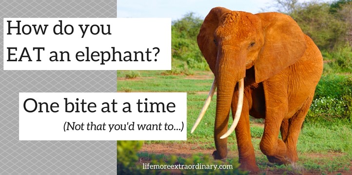 How do you eat an elephant?